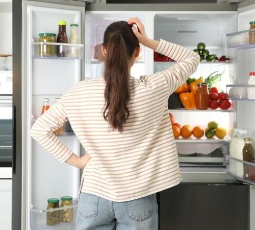 Các thương hiệu tủ lạnh trên thị trường bạn có thể lựa chọn