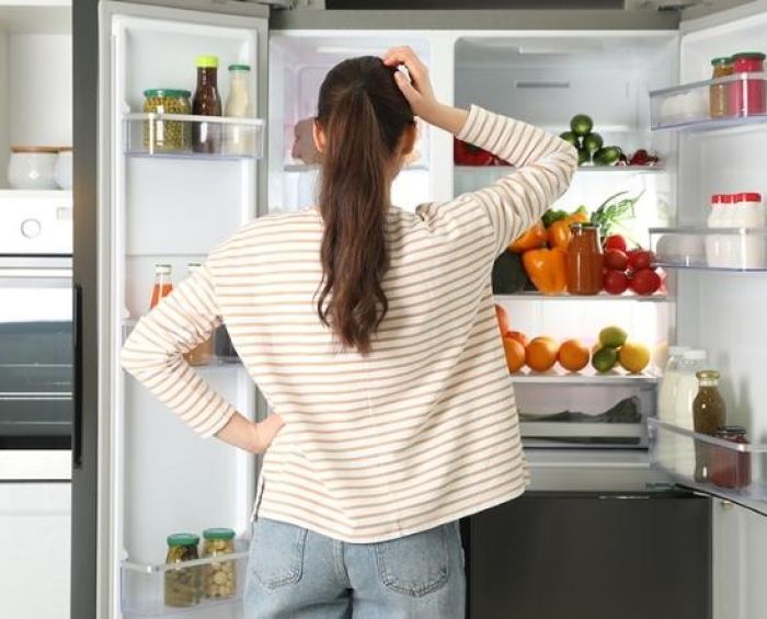 Các thương hiệu tủ lạnh trên thị trường bạn có thể lựa chọn